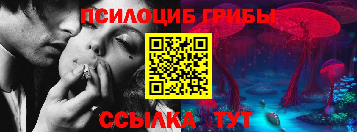 где купить   Псилоцибиновые грибы прущие грибы  Вход с VPN  Архангельск 